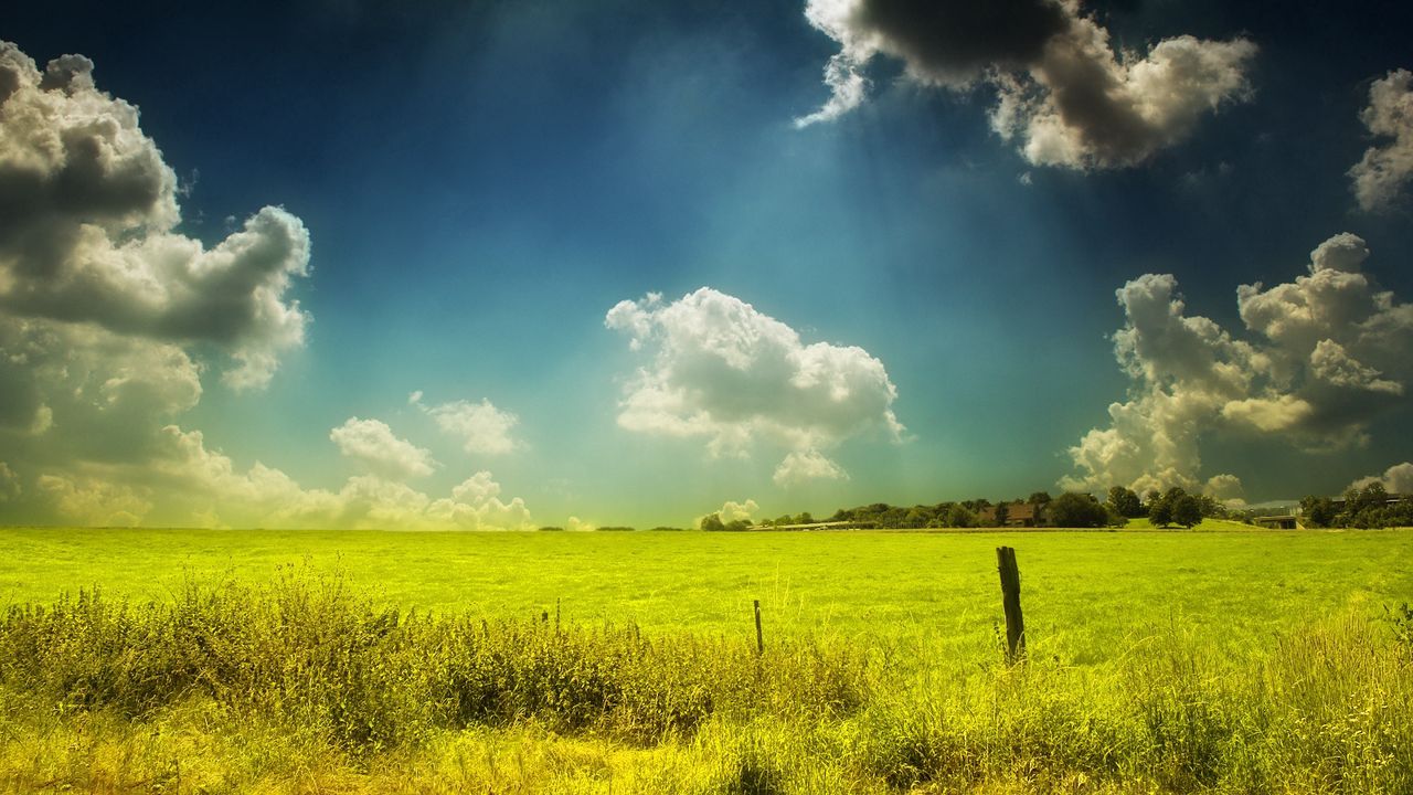 Обои поле, пастбище, небо, облака, день, лето, краски, цвета