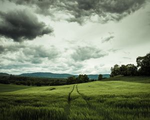 Превью обои поле, рожь, пейзаж, холмы, рельеф, деревья, сельское хозяйство