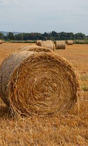Превью обои поле, сено, деревья, небо, пейзаж