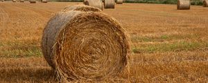 Превью обои поле, сено, деревья, небо, пейзаж