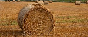 Превью обои поле, сено, деревья, небо, пейзаж