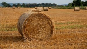 Превью обои поле, сено, деревья, небо, пейзаж