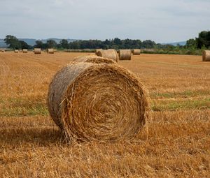 Превью обои поле, сено, деревья, небо, пейзаж