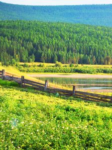 Превью обои поле, трава, деревья, забор