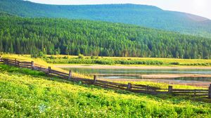 Превью обои поле, трава, деревья, забор