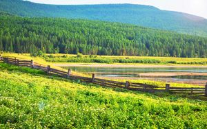 Превью обои поле, трава, деревья, забор