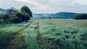 Превью обои поле, трава, деревья, горы