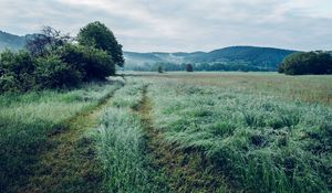 Превью обои поле, трава, деревья, горы