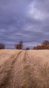 Превью обои поле, трава, деревья, небо, облака