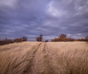 Превью обои поле, трава, деревья, небо, облака
