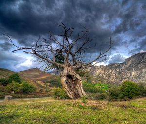 Превью обои поле, трава, дерево, горы, камни, небо, hdr