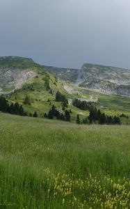 Превью обои поле, трава, долина, горы