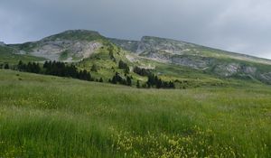 Превью обои поле, трава, долина, горы