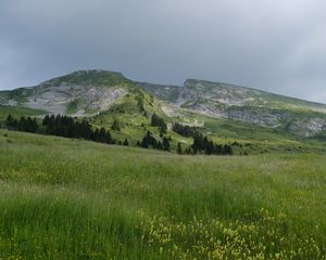 Превью обои поле, трава, долина, горы