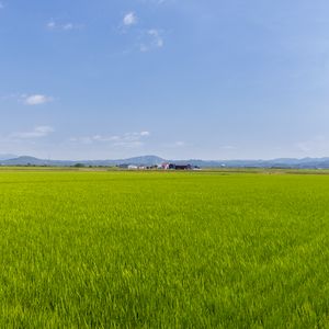 Превью обои поле, трава, домики, пейзаж, природа, минимализм