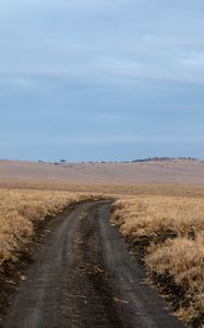 Превью обои поле, трава, дорога, поворот, горизонт