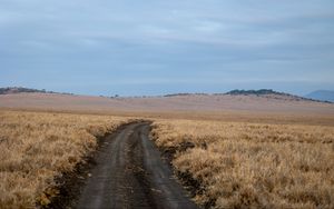 Превью обои поле, трава, дорога, поворот, горизонт