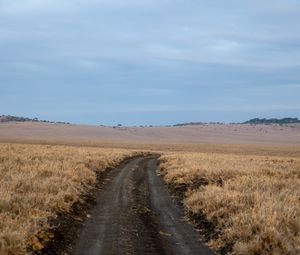 Превью обои поле, трава, дорога, поворот, горизонт