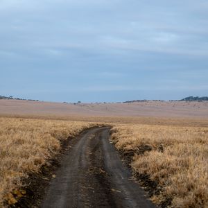 Превью обои поле, трава, дорога, поворот, горизонт