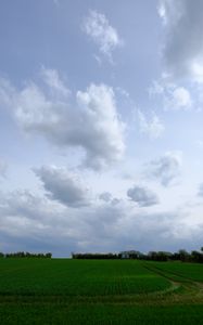 Превью обои поле, трава, горизонт, облака