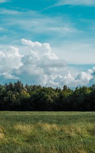 Превью обои поле, трава, облака, деревья