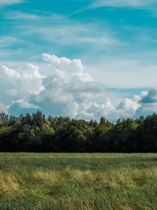 Превью обои поле, трава, облака, деревья