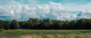 Превью обои поле, трава, облака, деревья