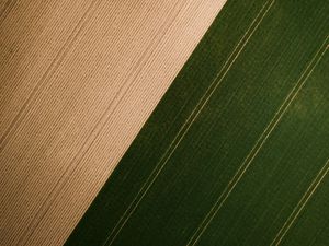 Превью обои поле, трава, полосы, вид сверху
