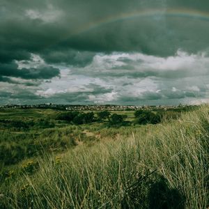 Превью обои поле, трава, радуга, небо