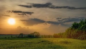 Превью обои поле, трава, солнце, лучи, простор