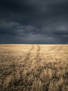 Превью обои поле, трава, сухой, тучи, пейзаж