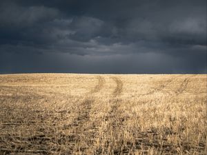 Превью обои поле, трава, сухой, тучи, пейзаж