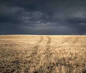 Превью обои поле, трава, сухой, тучи, пейзаж