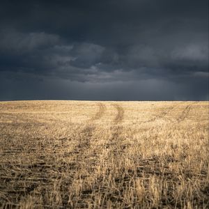 Превью обои поле, трава, сухой, тучи, пейзаж