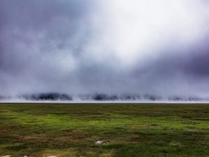 Превью обои поле, трава, туман, природа