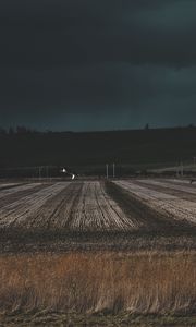 Превью обои поле, трава, вечер