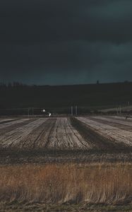 Превью обои поле, трава, вечер