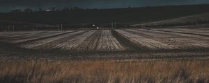 Превью обои поле, трава, вечер