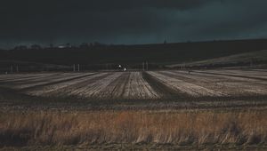Превью обои поле, трава, вечер