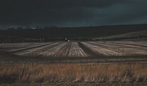 Превью обои поле, трава, вечер