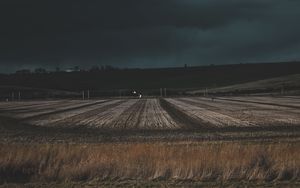 Превью обои поле, трава, вечер