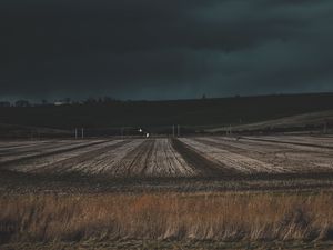 Превью обои поле, трава, вечер