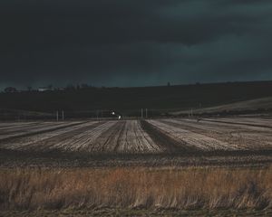 Превью обои поле, трава, вечер