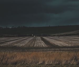 Превью обои поле, трава, вечер