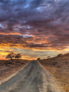 Превью обои поле, трава, закат, hdr