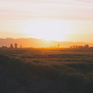 Превью обои поле, трава, закат