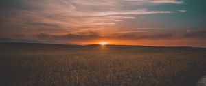 Превью обои поле, трава, закат, небо