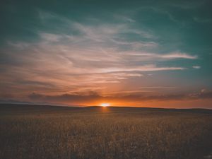 Превью обои поле, трава, закат, небо