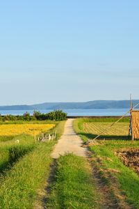 Превью обои поле, тропинка, плантации, пейзаж