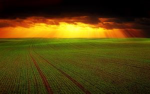 Превью обои поле, тучи, горизонт, трава, сельское хозяйство, облака